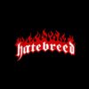 flat750x075f pad750x1000f8f8f8 17 - Hatebreed Merch