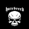 flat750x075f pad750x1000f8f8f8.u2 11 - Hatebreed Merch