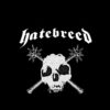flat750x075f pad750x1000f8f8f8.u2 19 - Hatebreed Merch