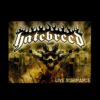 flat750x075f pad750x1000f8f8f8.u2 22 - Hatebreed Merch